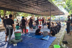 pln uid yogyakarta idul adha 1447 h penyaluran ratusan paket daging kurban kepada masyarakat