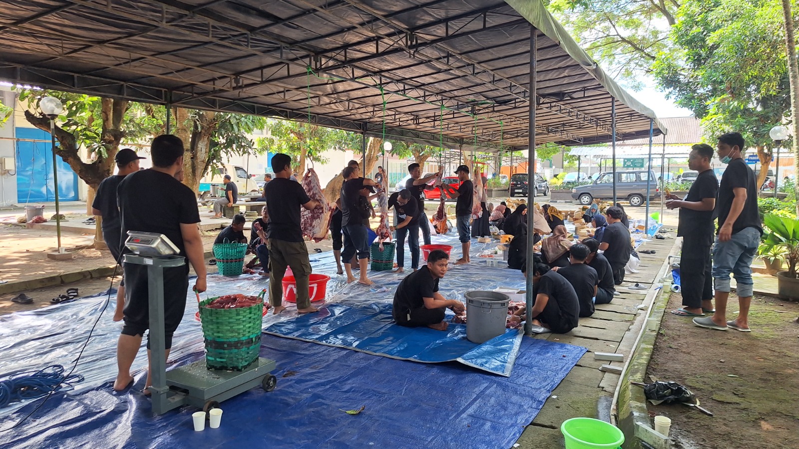 pln uid yogyakarta idul adha 1447 h penyaluran ratusan paket daging kurban kepada masyarakat